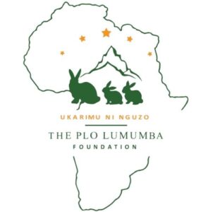 PLO Foundation logo
